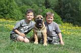 ENFANT ET CHIEN 190